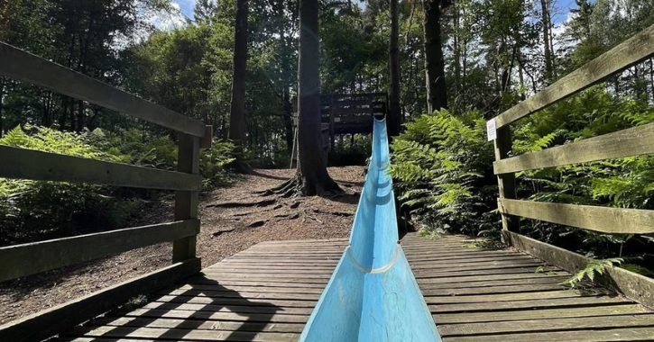 View of outdoor play area surrounded by trees at Broom House Farm.